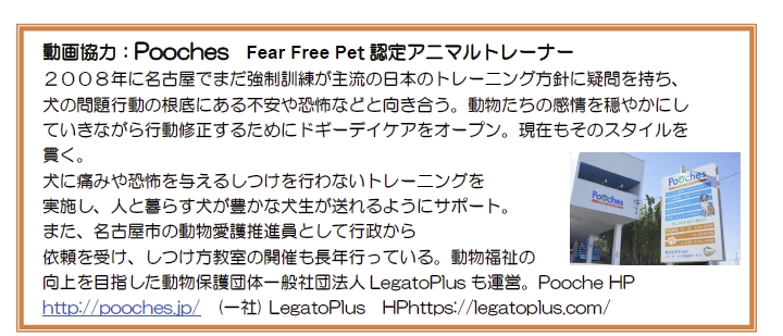 Poochesプロフィール