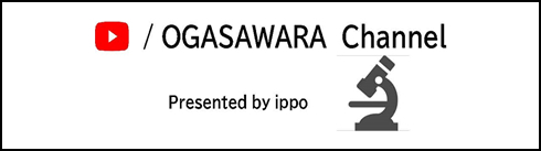 OGASAWARA Channel